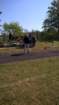 photo3_small.jpg