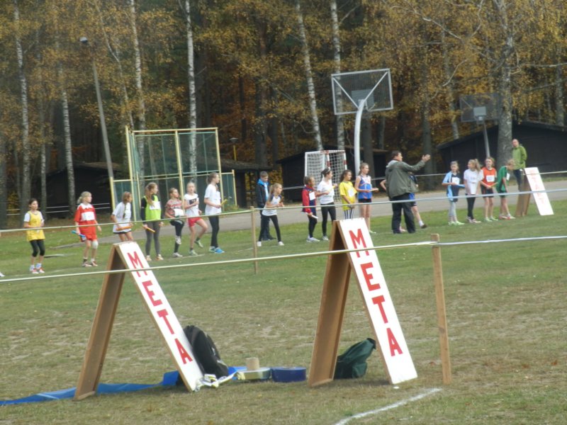 pa240084.jpg
