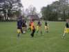 photo31_small.jpg
