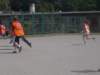 photo51_small.jpg