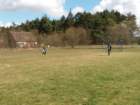 _113030_small.jpg