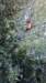 photo7_small.jpg