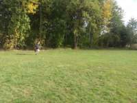 _101343_small.jpg