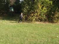 _102859_small.jpg