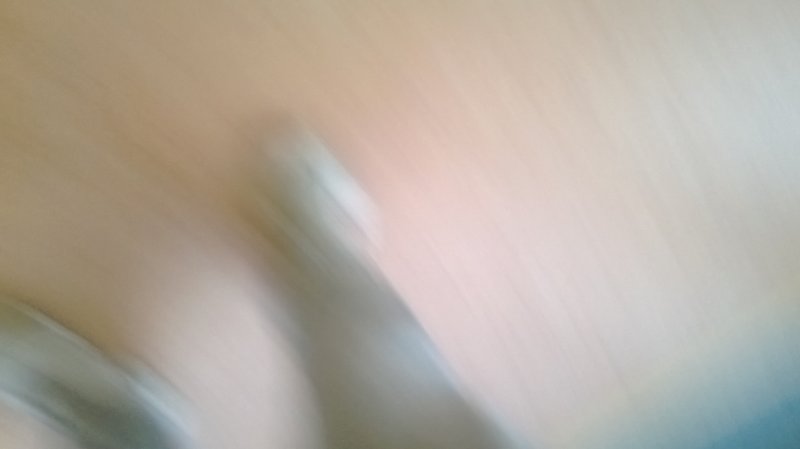 mojanoganogi.jpg